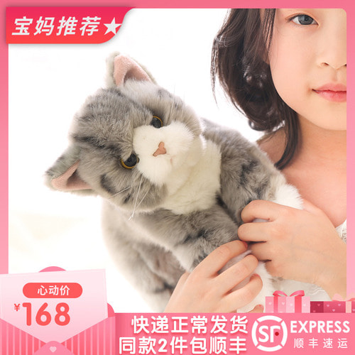 초모모 리얼 캣털 고양이 인형 베이비 생일 선물