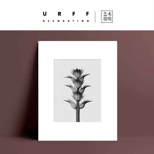 URFF DECO 아트웍 간략한 식물 사진작가 차가운 바람 loewe 고급 장식 그림