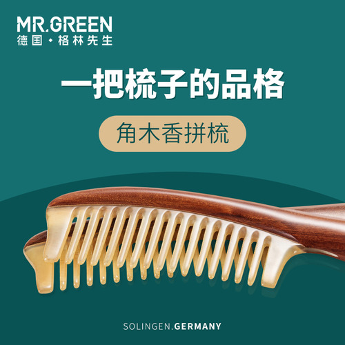 독일 Mr. Green 뿔과 나무 빗 크고 넓은 이빨 남성과 여성을위한 특별한 비 매달린 머리카락 정전기 방지 선물 상자