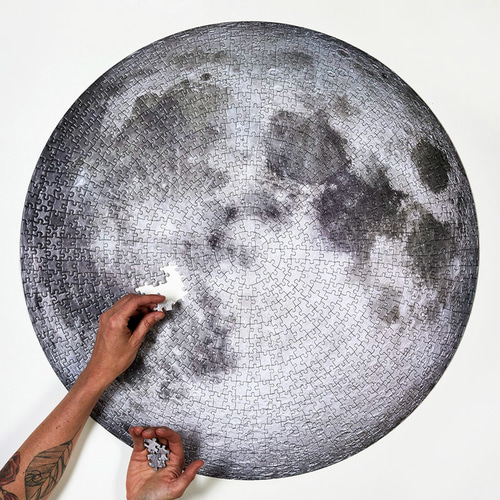 캐나다에서 수입 된 FourPoint 퍼즐 1000 개의 달의 지구와 참과 거짓 비교지도