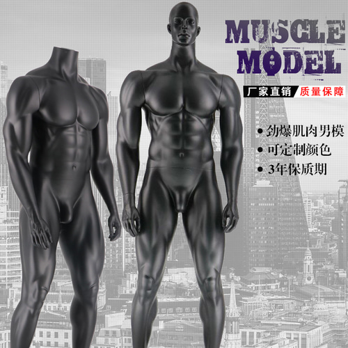 3D 3 차원 모델 소품 남성의 신체 촬영 성인 근육 Sportswood 창 디스플레이 의류 매장 모델