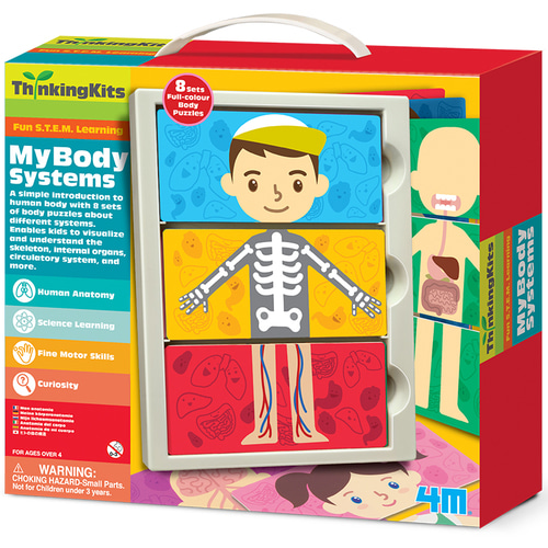 4M 재미있는 장난감 STEAM 행복한 교육 My Body Secret 수입 유치원 학습 게임 카드