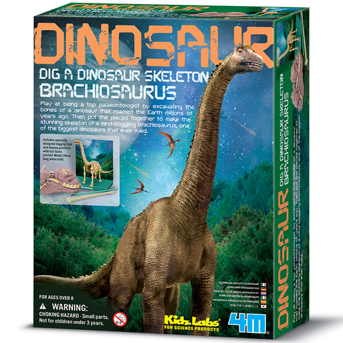4M STEAM 교육 완구 Brachiosaurus 고고학 발굴 현장 긴 목 공룡 탐사 키트 어린이 교육